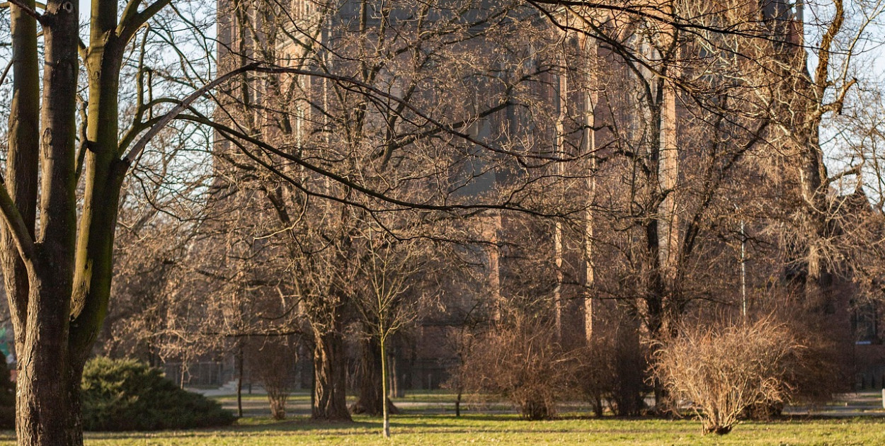 Bp Kiciński: w Kościele coraz więcej dziewic konsekrowanych i pustelników
