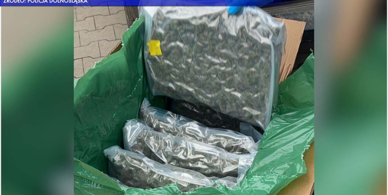 Odbierał przesyłkę, w środku było blisko 60 kilogramów marihuany