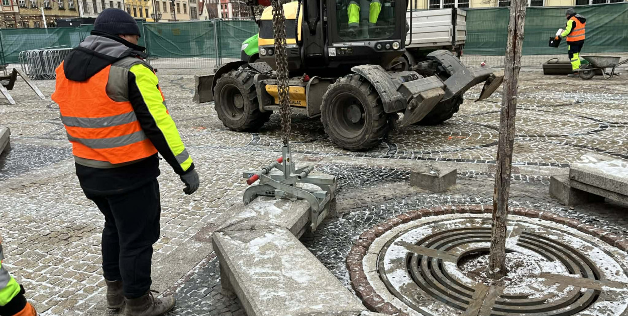 Rozpoczęło się zazielenianie wrocławskiego rynku