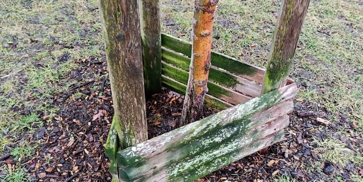 Nowe kieszonkowe parki we Wrocławiu