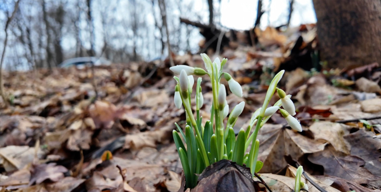 Rezerwaty na straży środowiska
