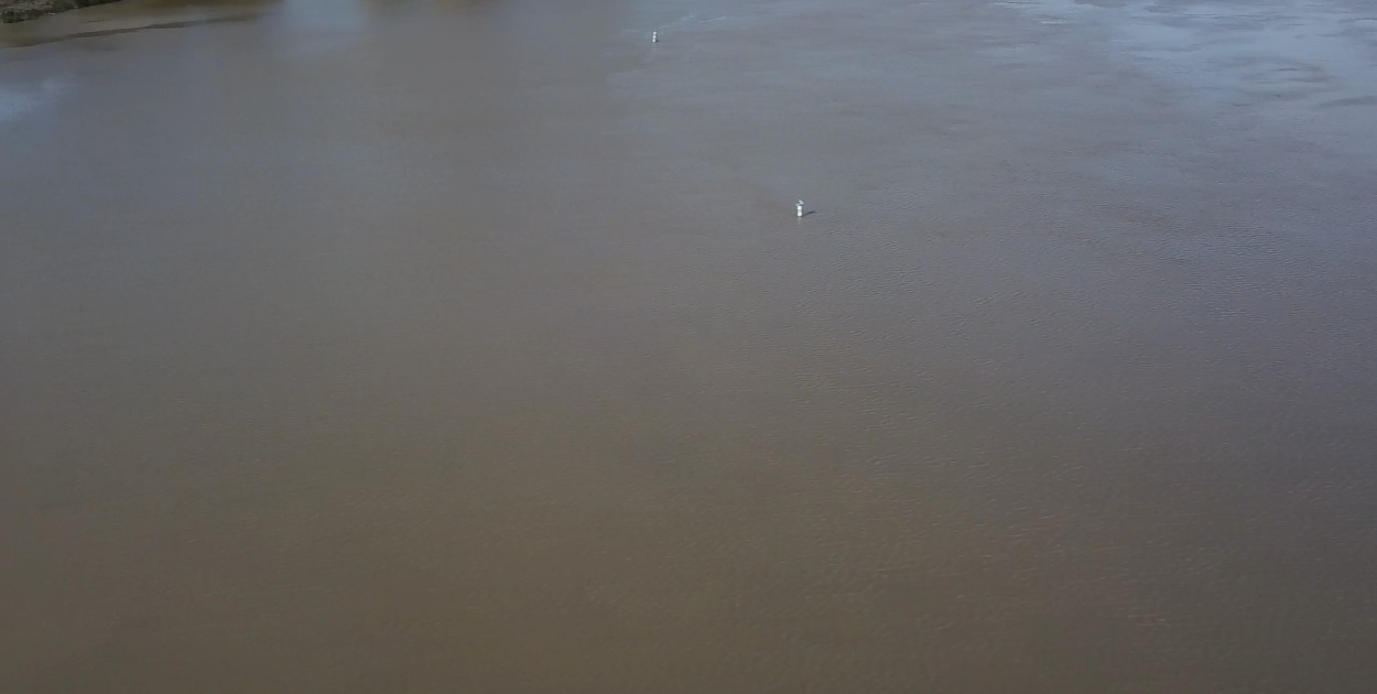 Przekroczenia stanów alarmowych i ostrzegawczych na rzekach w region