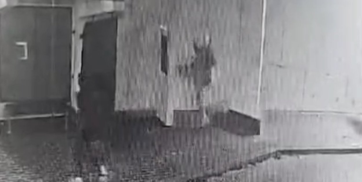 Niszczyli wszystko, co napotkali na swojej drodze