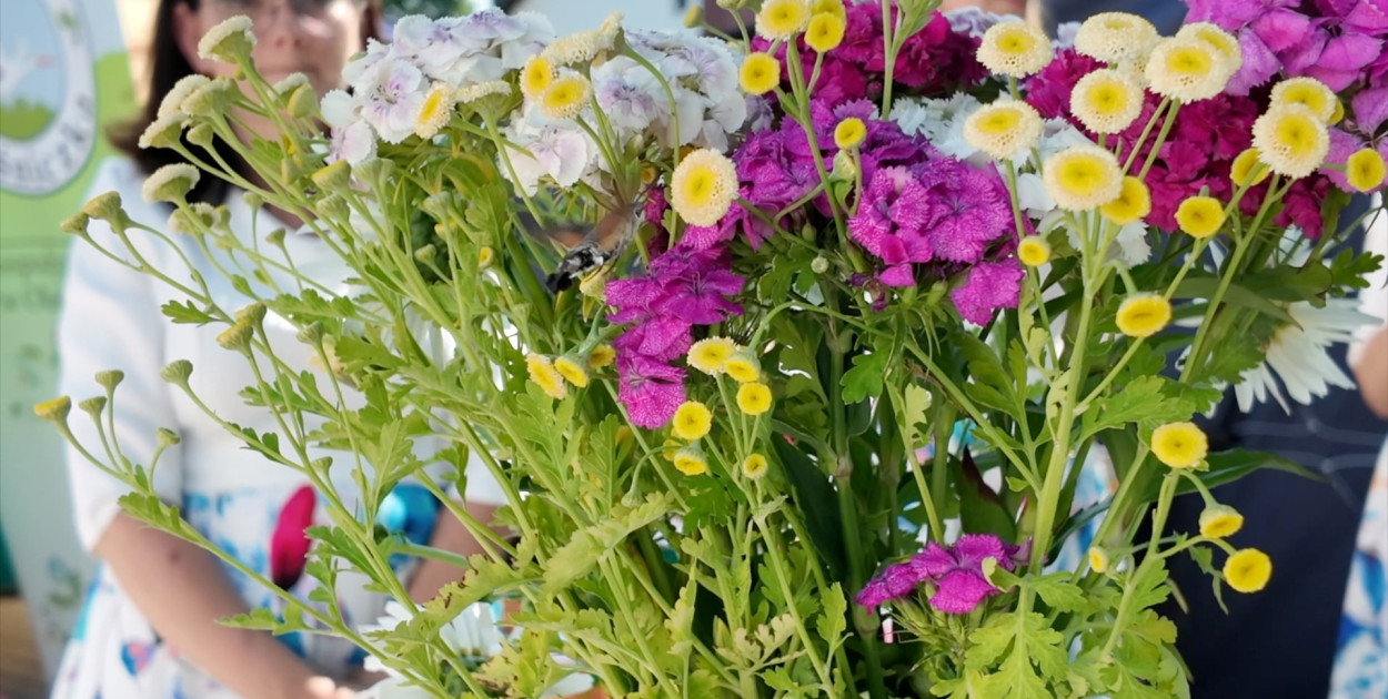 Chcą promować dolnośląskie wsie