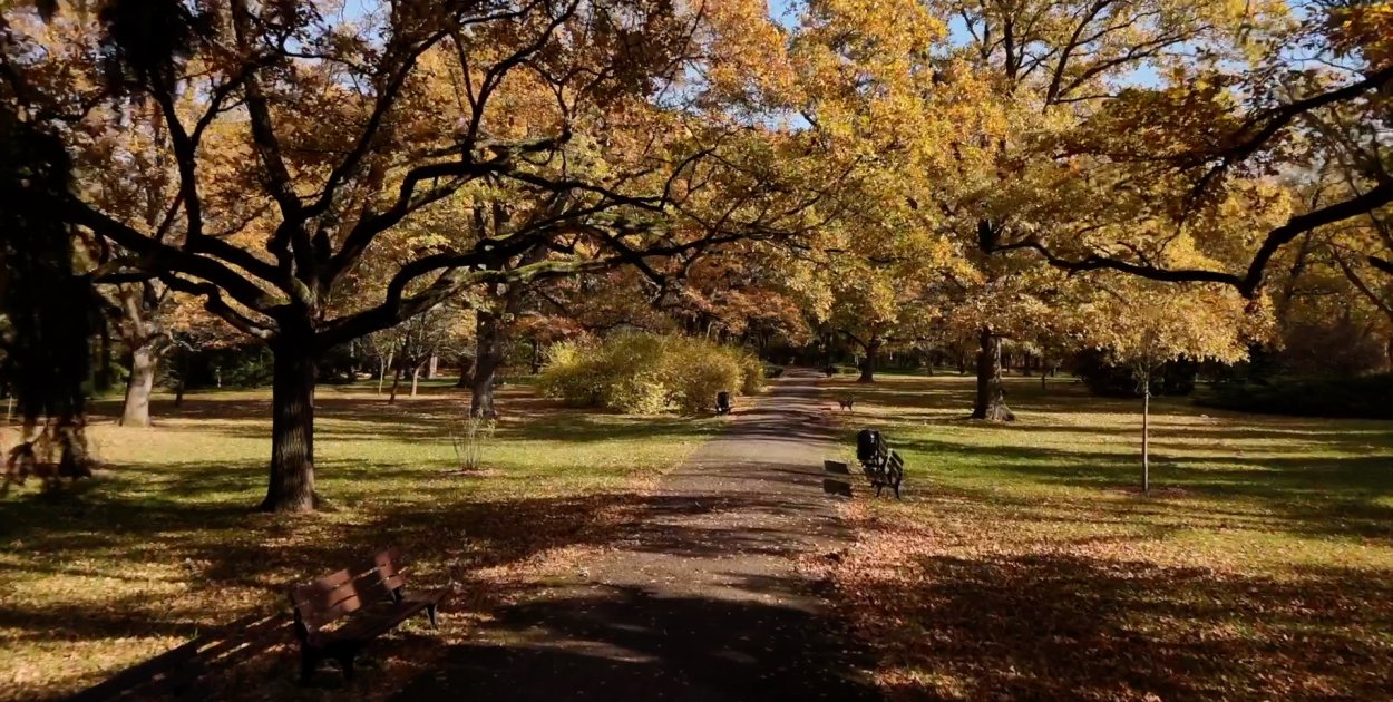 Zabytkowy Park we Wrocławiu czeka metamorfoza