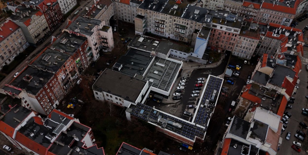 Więcej zieleni na wrocławskim Ołbinie