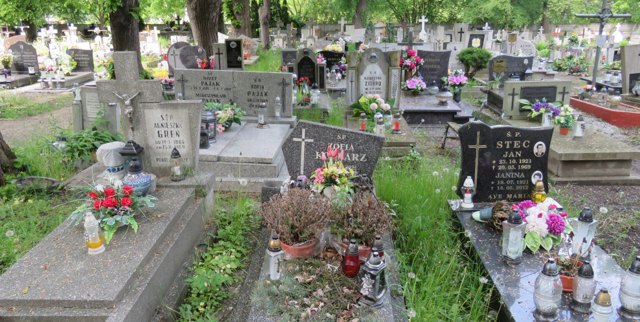 19 marca Wrocław wprowadzi na cmentarzach podwyżki cen za pochówki