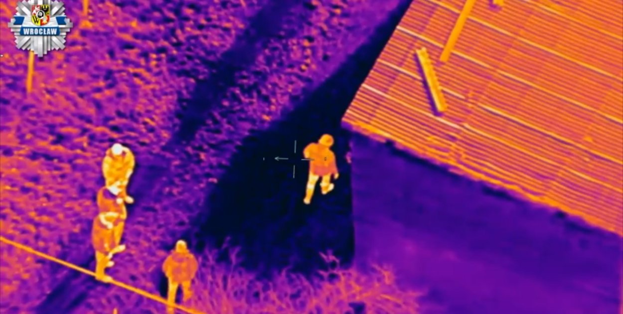 Kokaina ukryta w betonowych donicach