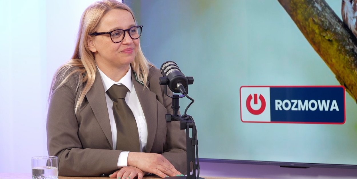 Zwierzęta w lesie? Pomagajmy tylko tym rannym