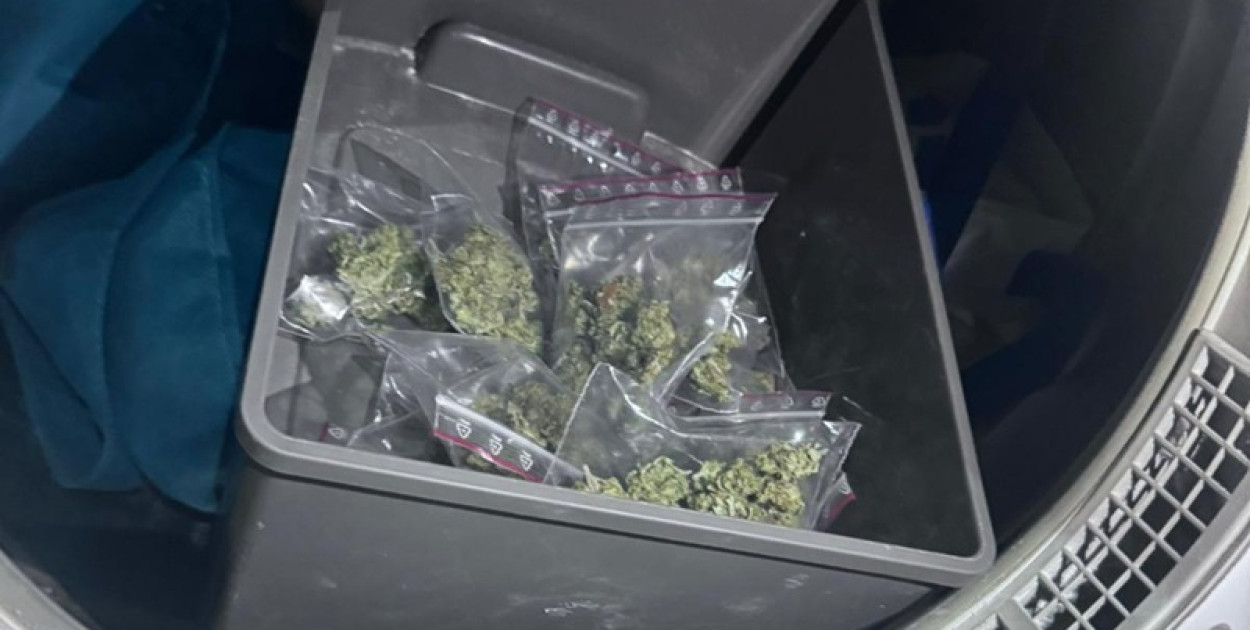 Amfetamina w zamrażarce, marihuana w pralce