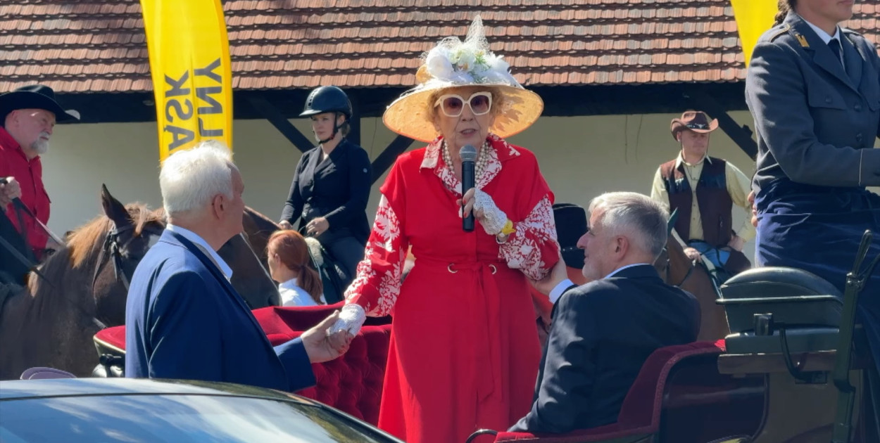 Gwiazdy wezmą udział w mistrzostwach