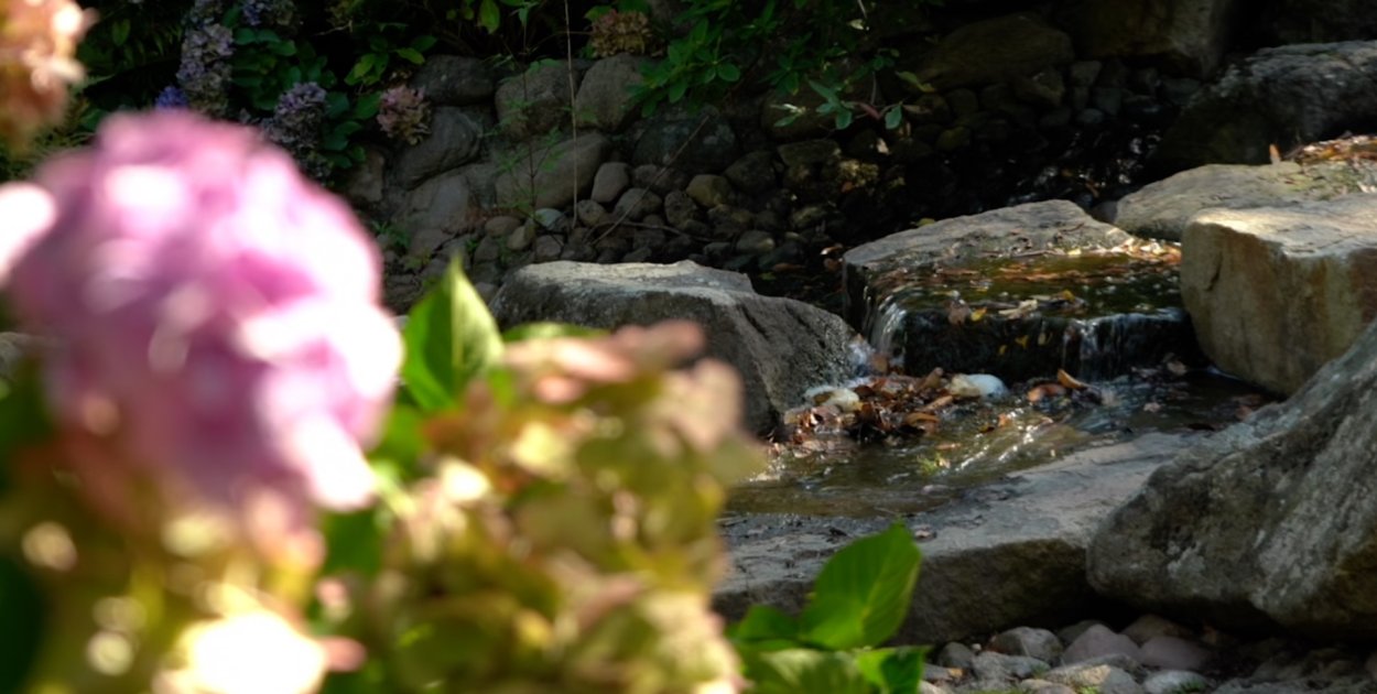 Ogród Japoński gotowy na turystów