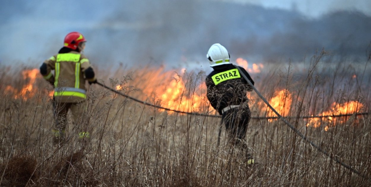 Mimo zaostrzenia kar od początku roku doszło do ponad 12 tys. pożarów traw