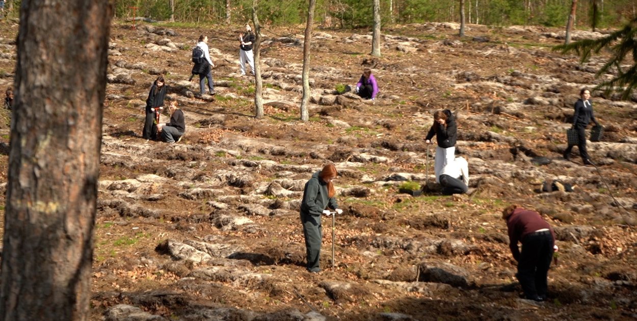 Setki uczestników, jeszcze więcej posadzonych drzew